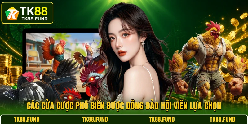 Các cửa cược phổ biến được đông đảo hội viên lựa chọn