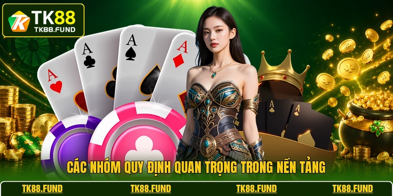 Các nhóm quy định quan trọng trong nền tảng