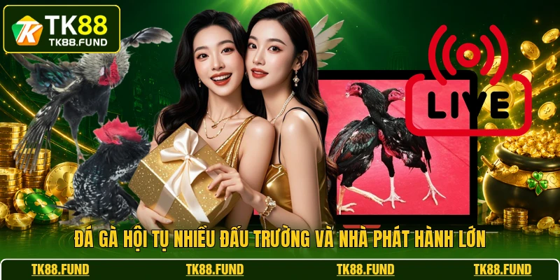Đá gà hội tụ nhiều đấu trường và nhà phát hành lớn
