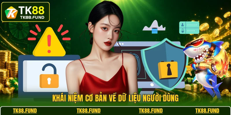 Khái niệm cơ bản về dữ liệu người dùng