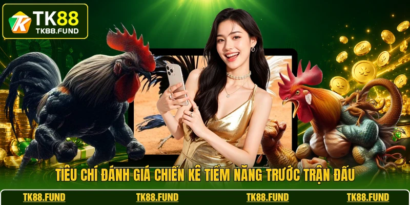 Tiêu chí đánh giá chiến kê tiềm năng trước trận đấu